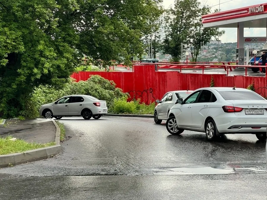 Временное перекрытие дороги на улице Ватутина в Курске из-за работ по опиловке деревьев Временное перекрытие дороги на улице Ватутина в Курске из-за работ по опиловке деревьев