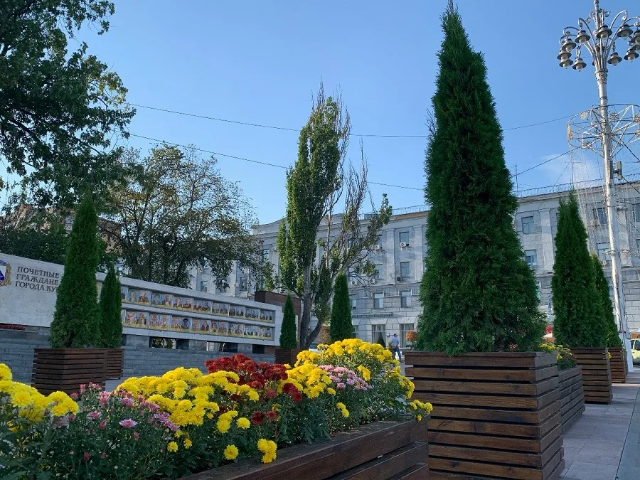Прогноз погоды в Курске на 13 сентября: облачно с дождем Прогноз погоды в Курске на 13 сентября: облачно с дождем