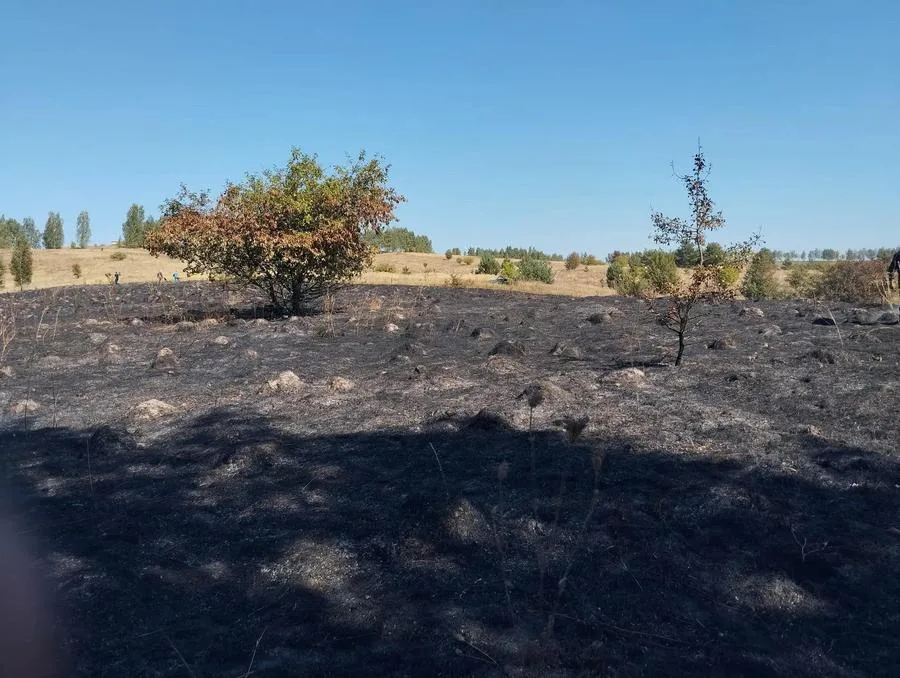 В Обоянском районе ликвидированы лесные пожары В Обоянском районе ликвидированы лесные пожары